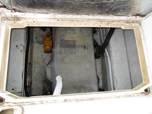 Dove 35 