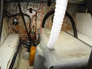 Dove 37 
