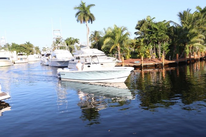 31-2020-Regulator-31-03