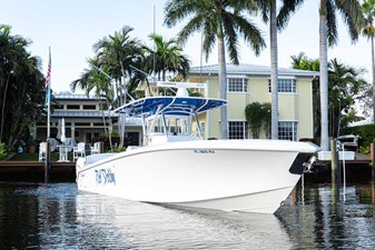 REEL SKETCHY 83 Bow Quarter
