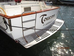 Toucan 31 31