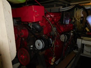 Bluegrass 49 49