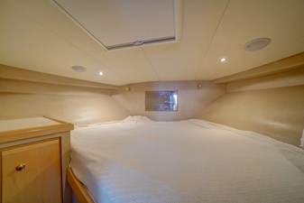 Sunsation 31 31