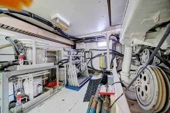 Sunsation 38 38