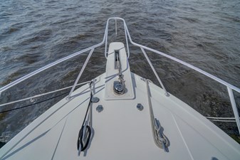 Sunsation 40 40