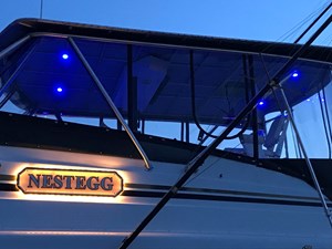 Nestegg 23 23Kern