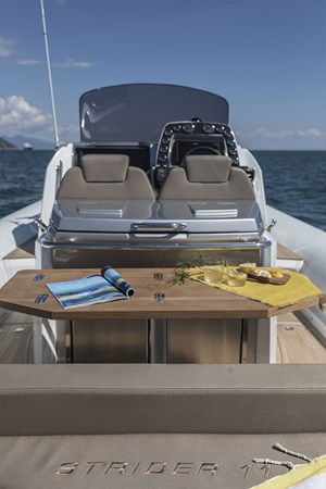 15. SACS Strider 11  2019 (Limo)