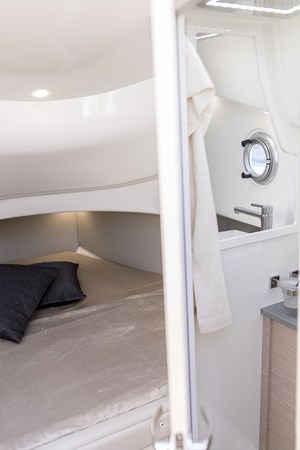 19. SACS Strider 11  2019 (Limo)