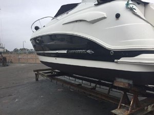2009 Chaparral 290 Signature 9 10