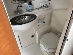 2009 Chaparral 290 Signature 12 13