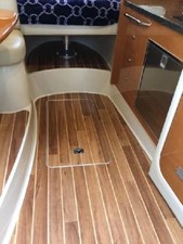 2009 Chaparral 290 Signature 21 22