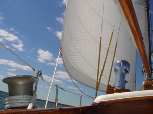 Shearwater 49 4