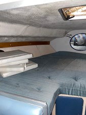 Kot Karoshi 2 IMG_2026