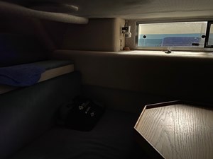 Kot Karoshi 8 IMG_2032