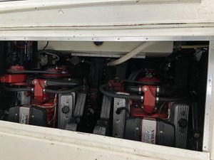 Kot Karoshi 10 IMG_2038