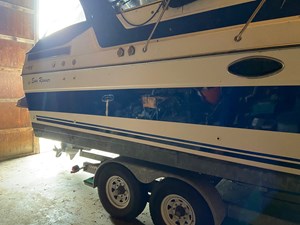 Kot Karoshi 11 IMG_2039