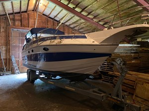 Kot Karoshi 12 IMG_2040