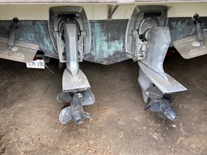 Kot Karoshi 13 IMG_2041