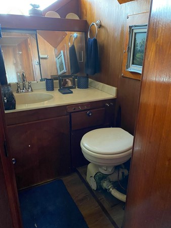 110315119_1248636438815385_4418037502196823145_n