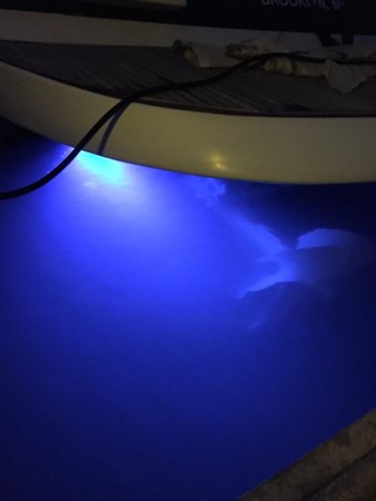 36_2001 52ft Pershing JR ENTERPRISE