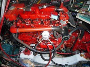 JUNO 49 