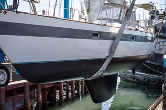 JUNO 51 