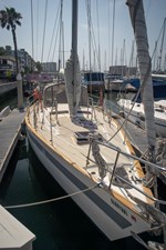 JUNO 31 