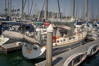 JUNO 33 