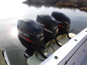 Fighting Lady 19 Triple Outboards
