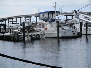 7. 43' Albin Port View Forward