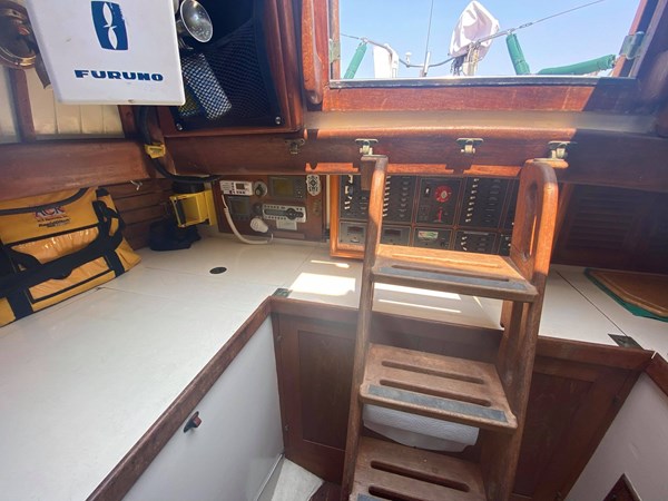 239546056_418996696223505_6622003401342658369_n