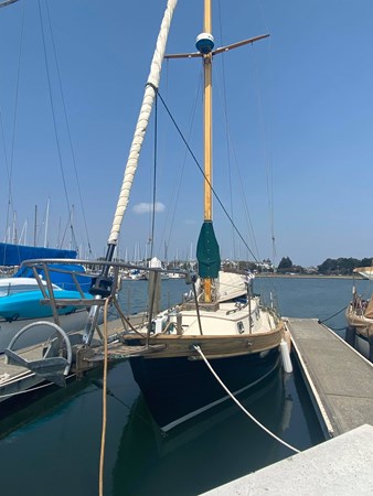 240478269_380313756869340_7925958588095135477_n