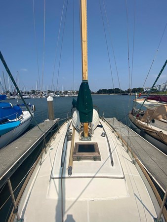 240497215_1548331032166249_5120183542701718518_n