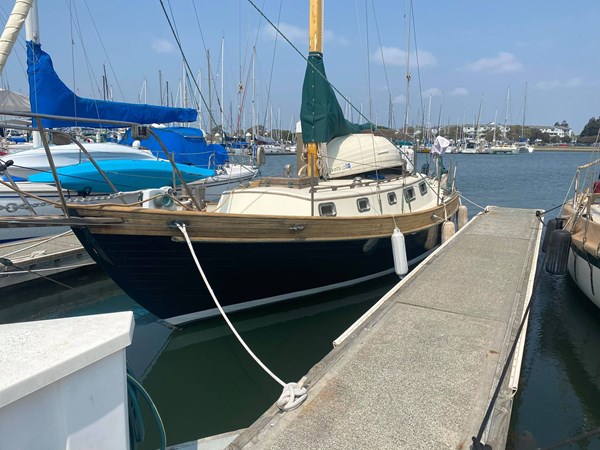 240557989_530243201385880_7175247162816522966_n