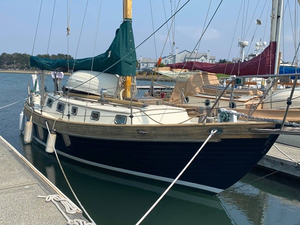 240571175_865904594043818_5870101599654218718_n