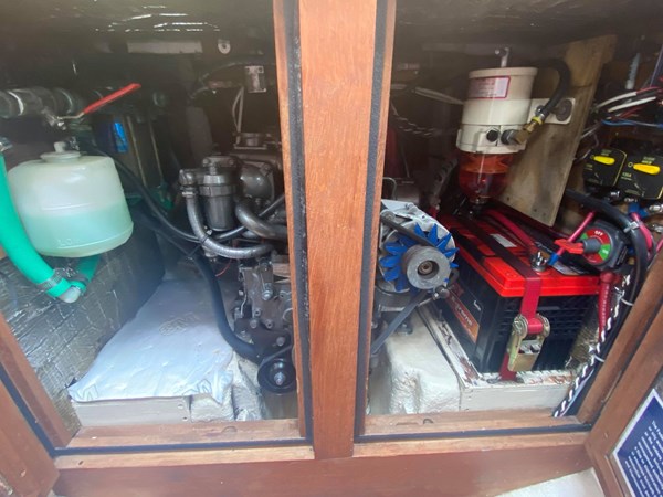 240589136_894312368130704_5520420487000770125_n