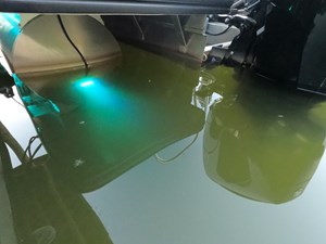 2021 Harris Solstice 230SL 43 GOPR0558