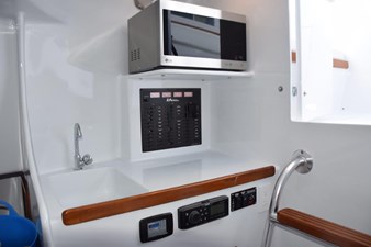 FARR GONE 18 Microwave, sink and countertop