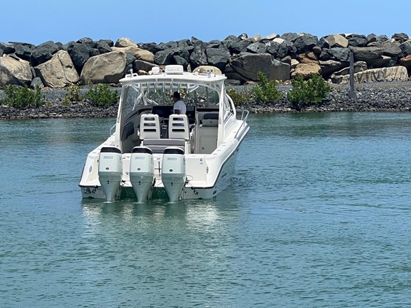 8864308_20230517112450058_1_XLARGE