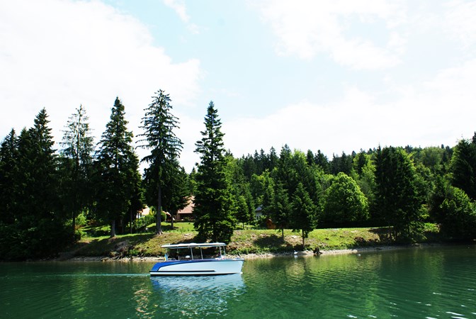 naslovna slika electric