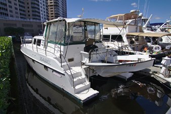 Purr-Sea-Veer 1 7359238_20200302104649180_1_XLARGE