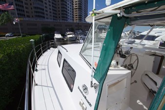 Purr-Sea-Veer 6 7359238_20200302104600811_1_XLARGE