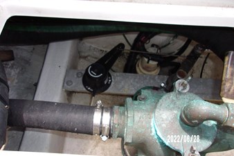 Final Draft 43 42_2790449_