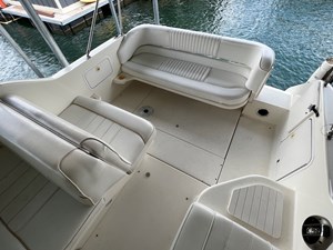 1996 SeaRay 250 Sundancer NLML 31 IMG_4849