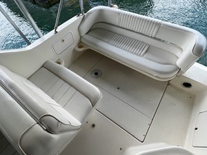 1996 SeaRay 250 Sundancer NLML 36 IMG_4856