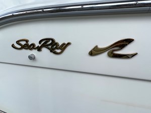 1996 SeaRay 250 Sundancer NLML 75 IMG_4906