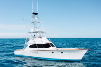 GOOSE  12 Starboard Profile