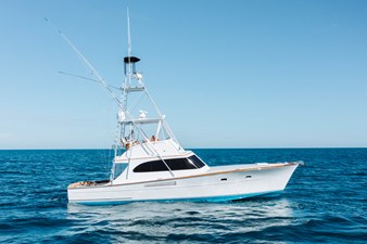 GOOSE  10 Starboard Profile