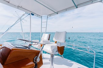 GOOSE  29 Flybridge