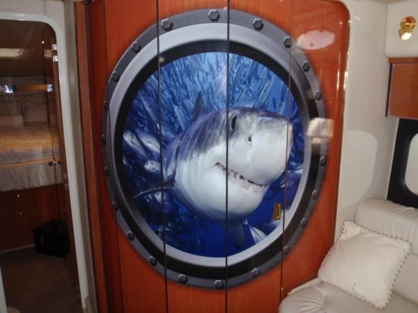 8534026_20221010123310261_1_LARGE